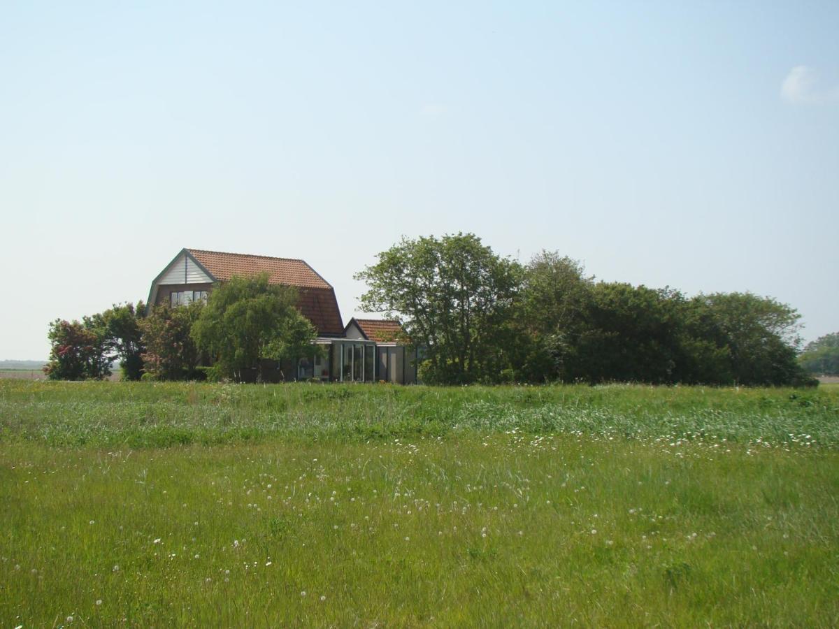 B&B Zuiderkreek De Cocksdorp  Esterno foto